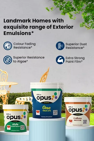 Birla Opus paint finish 1