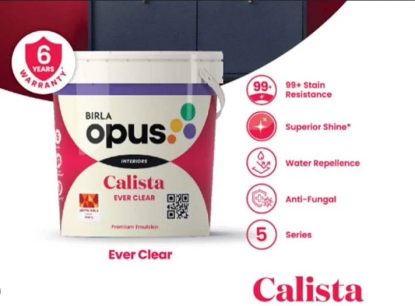 Birla Opus paint finish 2