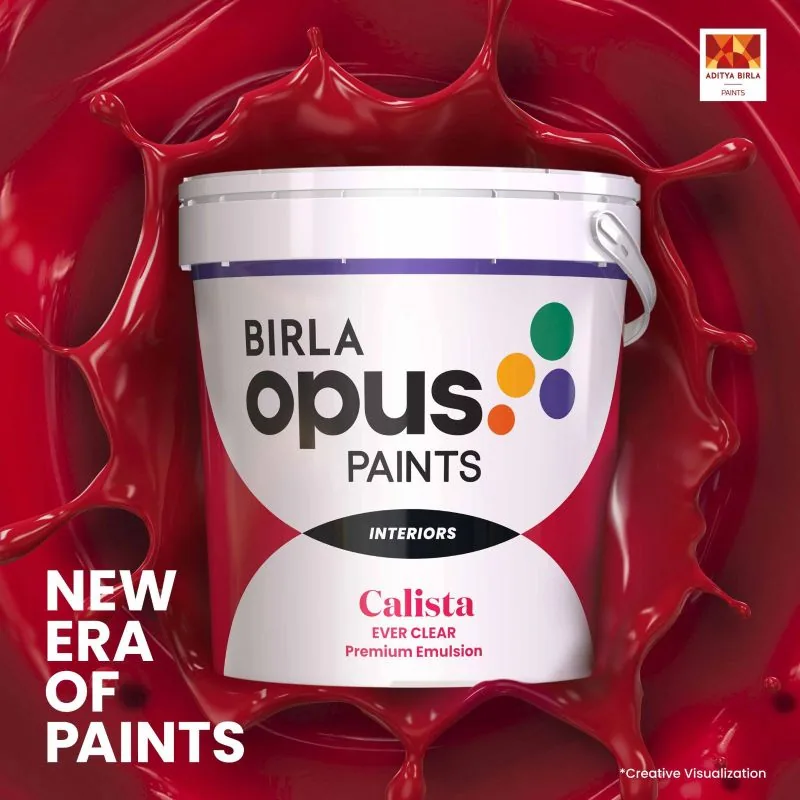 Birla Opus paint finish 3