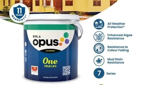 Birla Opus paint finish 5